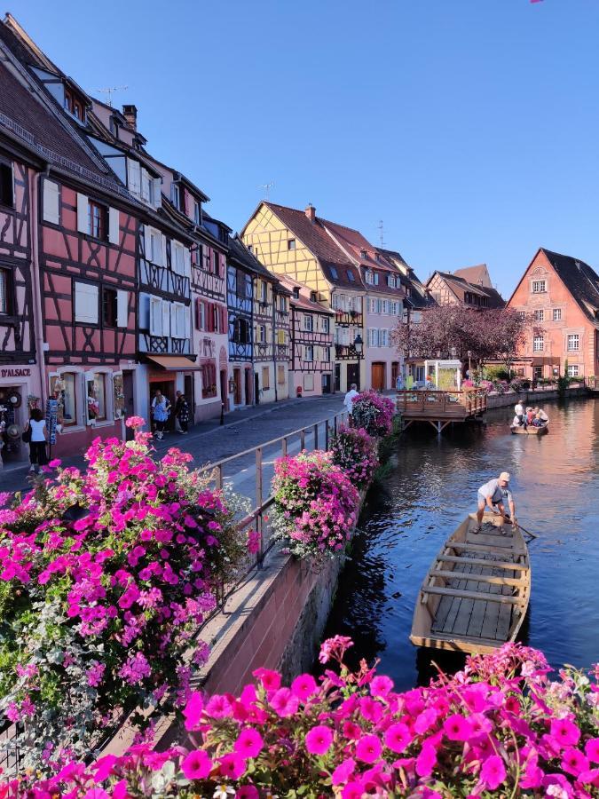 Au Bretzel Dore - Centre Historique Colmar Bagian luar foto